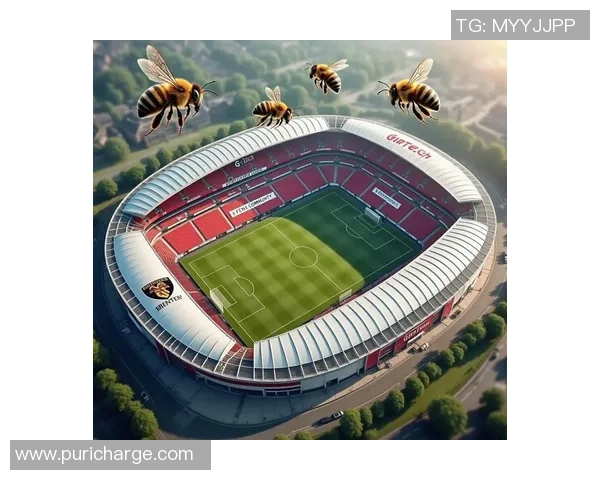 探索mkf足球的魅力与激情,带你领略不一样的足球世界与精彩赛事体验